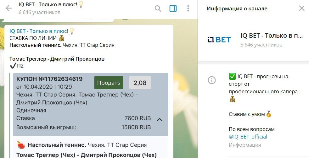 Телеграм канал IQ Bet