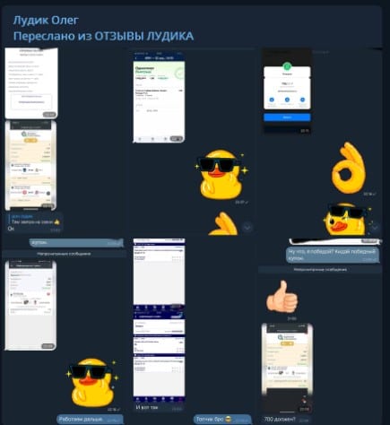 лудик олег переписка с клиентами