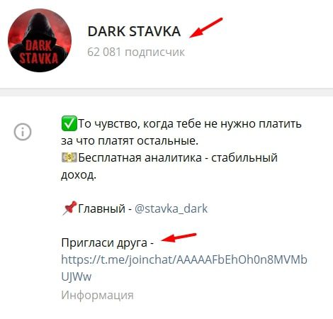 Телеграмм Dark stavka