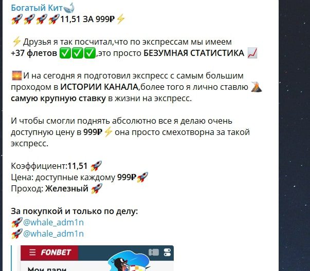 Стоимость услуг проекта Богатый кит