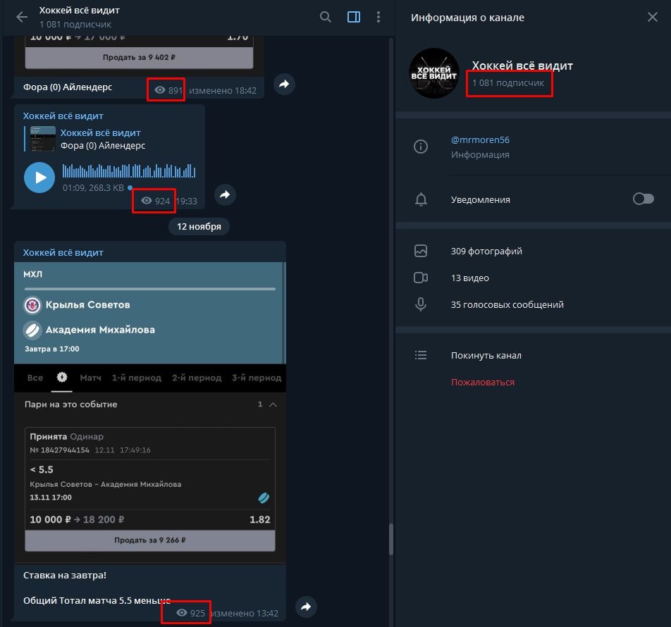 Телеграмм Хоккей все видит - просмотры и подписчики