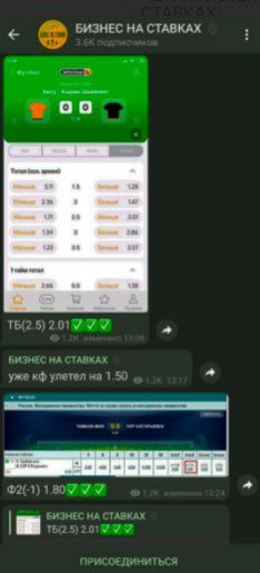 Отчеты в Телеграмм Бизнес на ставках