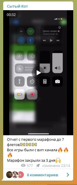 Отчет в Телеграмм Сытый Кот