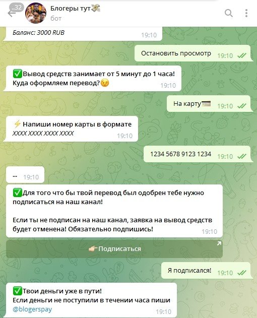 Выплаты от Blogerspay в Телеграмм