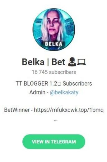 Belka Betting Телеграмм