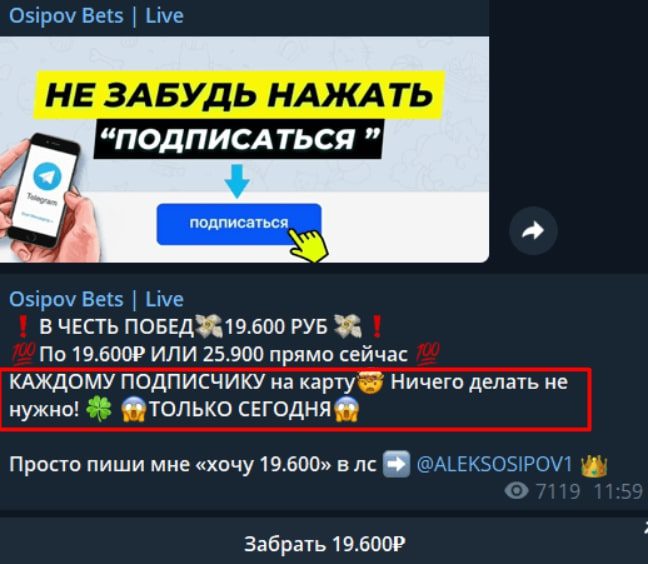 Подписка на Osipov Bets Live