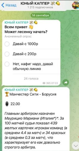 Заработок на канале Юный Каппер