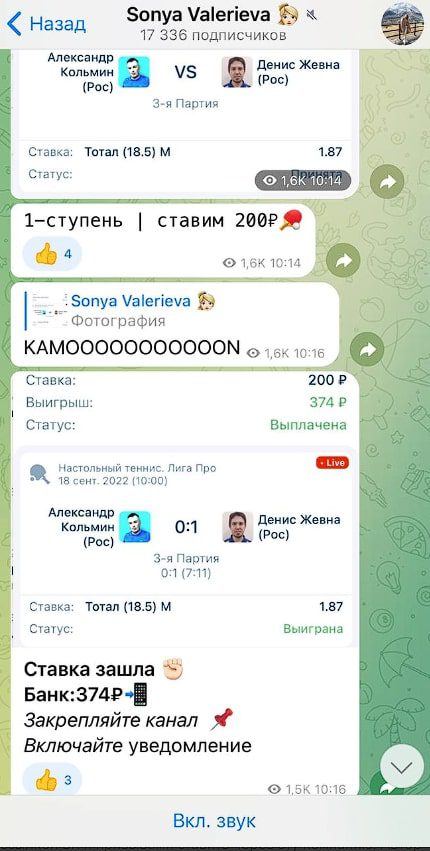 Проект Sonya Valerieva