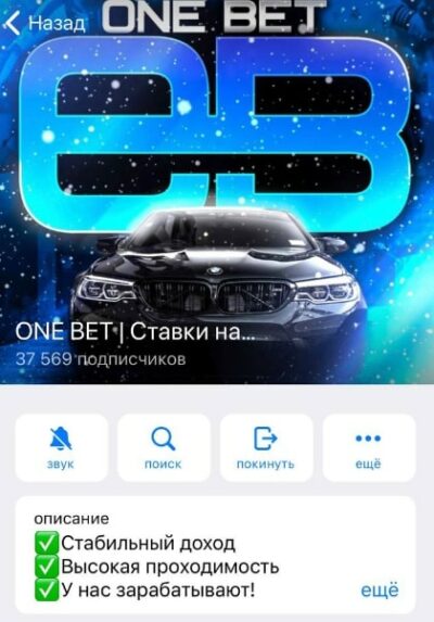 Каппер ONE BET