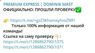 Проект DOMINIK MAST