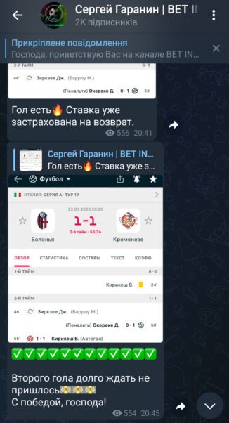 Проект Сергей Гаранин BETINVEST