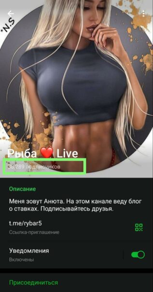 Рыба Live телеграмм