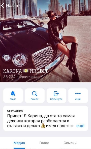 KARINA ENTIREBOT теелграм