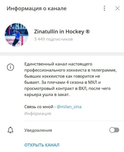 Zinatullin in hockey телеграм