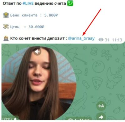 Проект Arina Bray