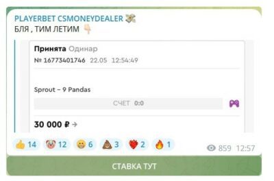 PLAYERBET CSMONEYDEALER телеграм