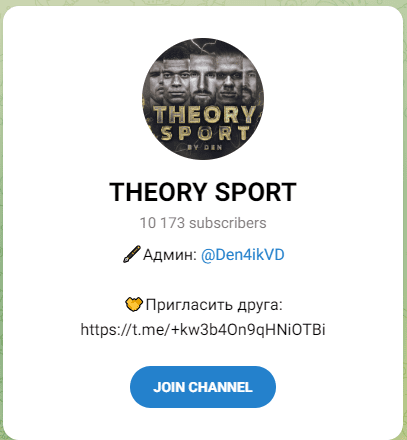 theory sport