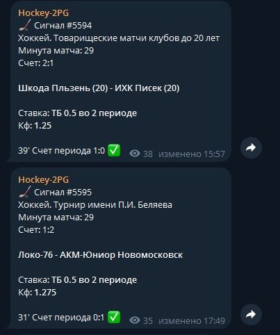 проект hockey 2pg