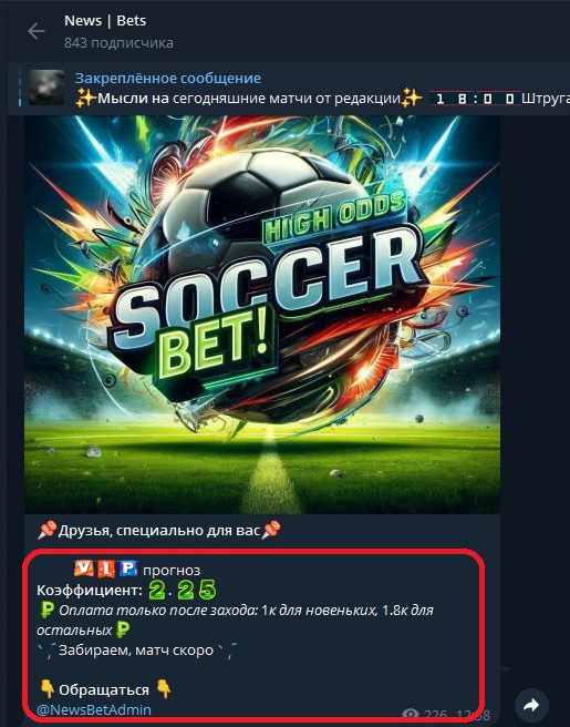 проект news bets