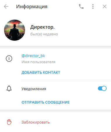 отзывы о директор бк